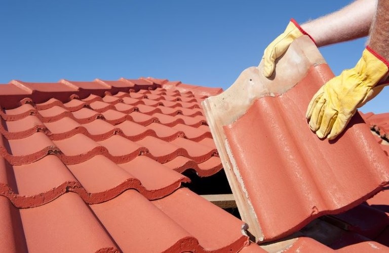 Do You Really Need to Byta tak (Replace the roof) Or Repair It?