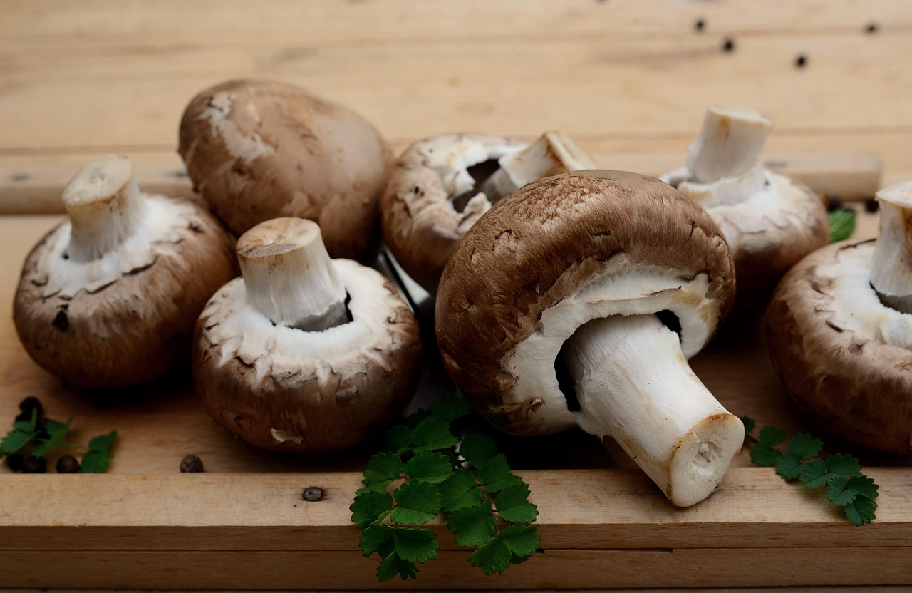 Mushrooms, edible mushrooms, vegetarian — Dr. Wendell Bulmer Supporting Faster Healing With Modern, Minimally Invasive Method