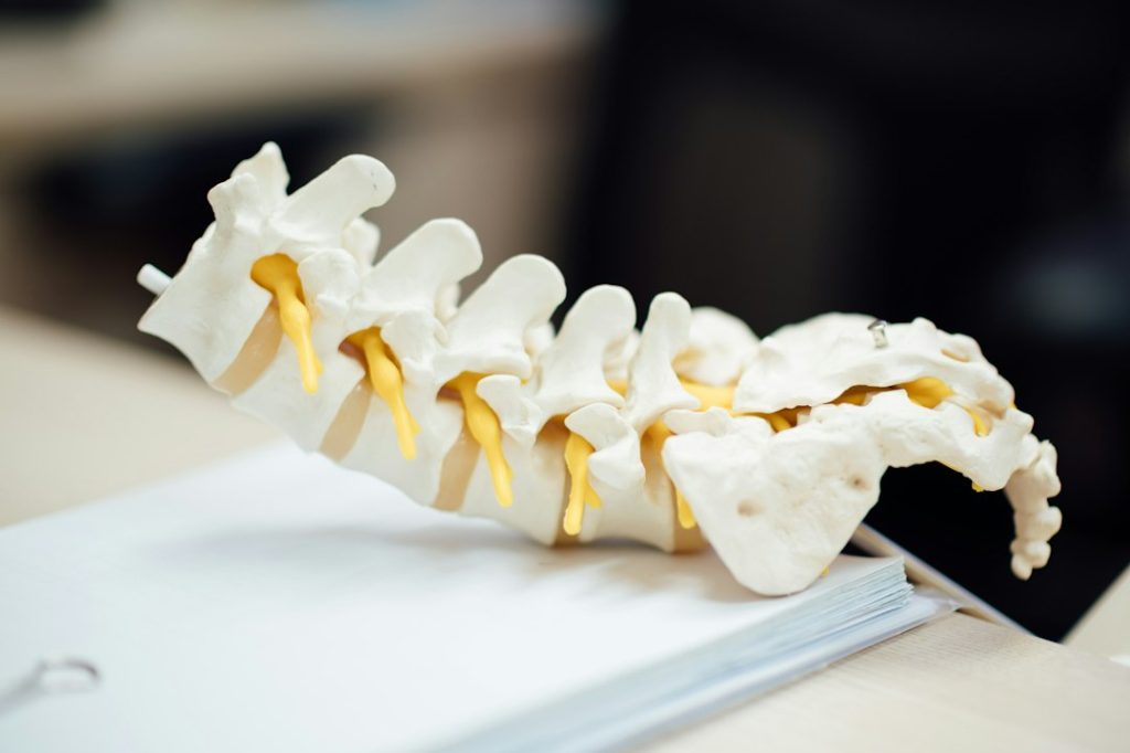 integrated chiropractic care